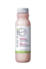 MATRIX BIOLAGE Recover Conditioner for Stressed,Sensitized Hair 325 ml